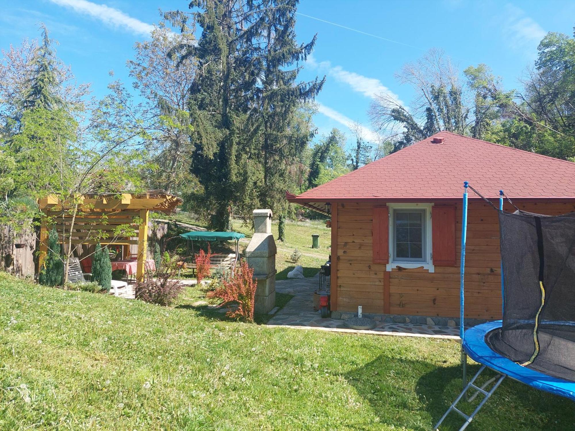 Brvnara Kraj Dunava Zelena Oaza Banostor Exterior foto